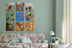 Canvas Cluster Prints From 9 Photos - Germotte