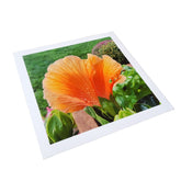 Poster Print - Germotte