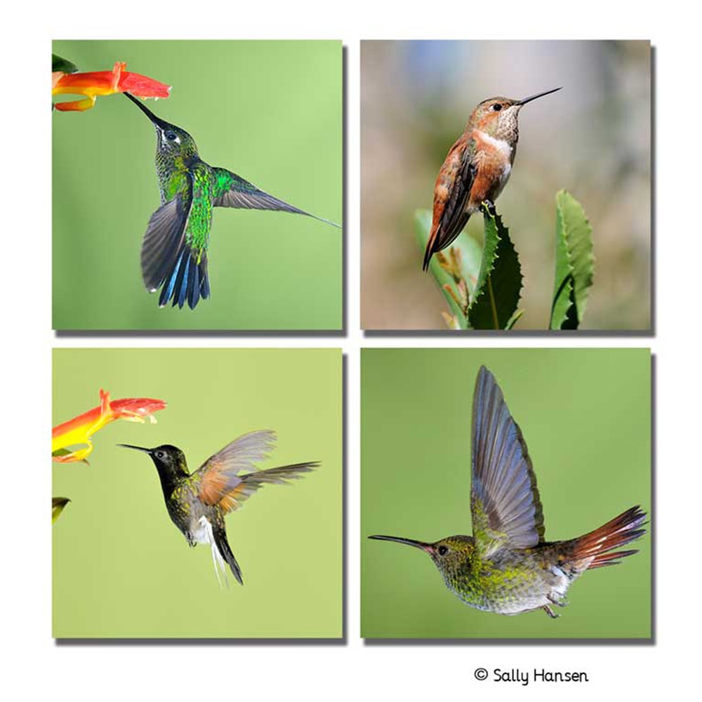 Canvas Cluster Prints From 4 Photos