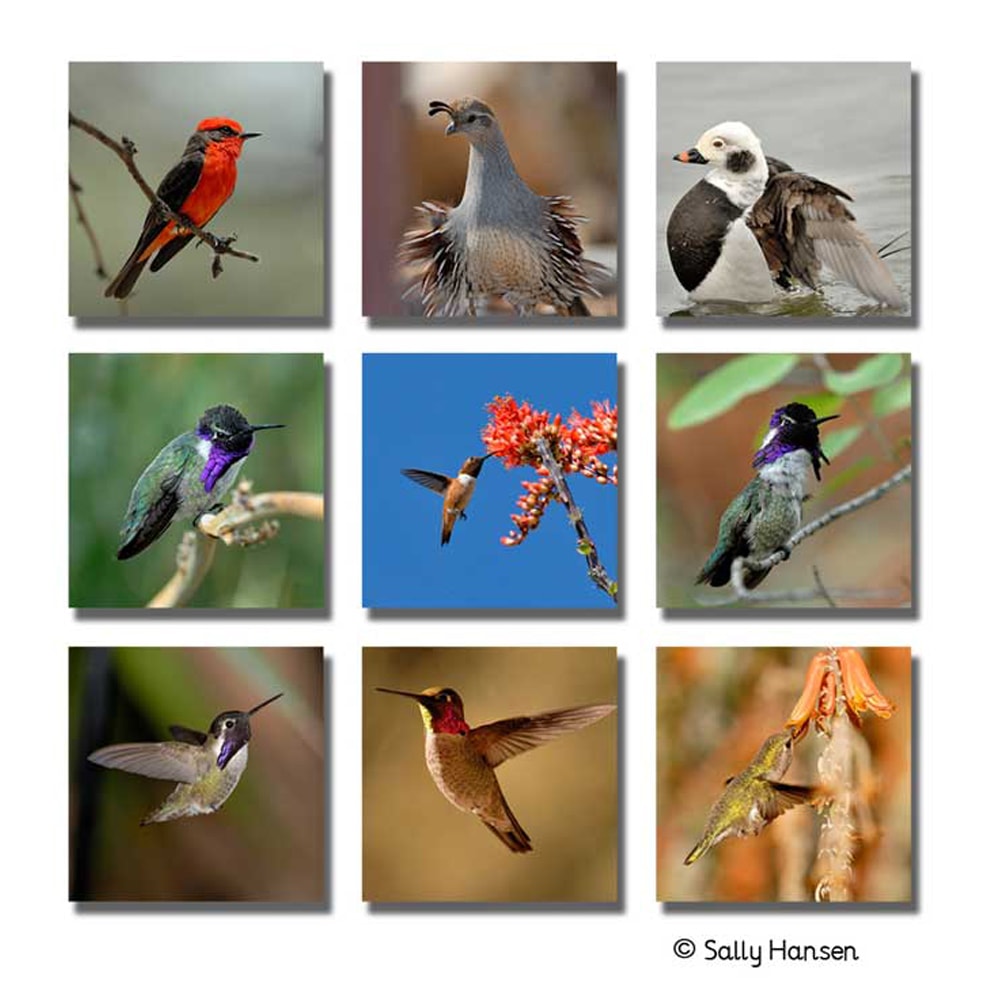 Canvas Cluster Prints From 9 Photos