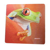 Colorful brushed metal print of a green tree frog with vibrant red eyes and a blurred background.
