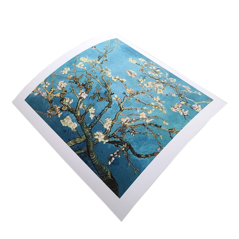 Enhanced matte photo paper prints featuring blooming tree branches against a vibrant blue background.