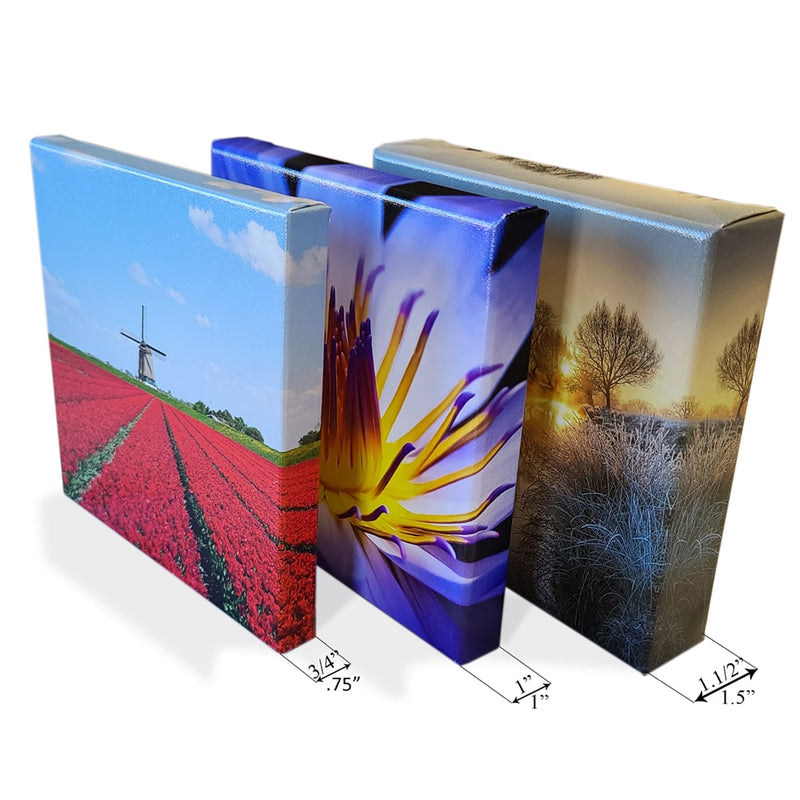 Canvas prints on stretch bars showcasing vibrant images of landscapes and flowers.