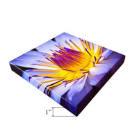 canvas prints with stretch bars featuring vibrant flower design on 1" thick canvas