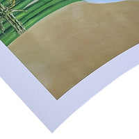 Close-up of Hahnemühle Photo Rag fine art photo rag prints showcasing texture and edge detail.