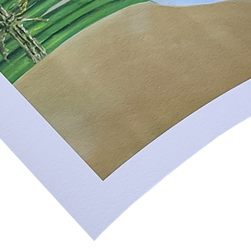 Close-up of Hahnemühle Photo Rag fine art photo rag prints showcasing texture and edge detail.